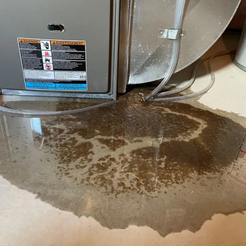 Appliance Leak Cleanup in Puhi, HI